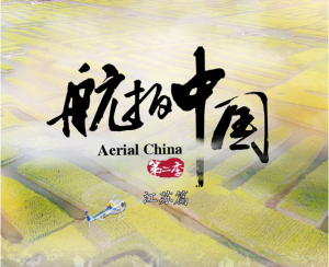 dg百家乐试玩